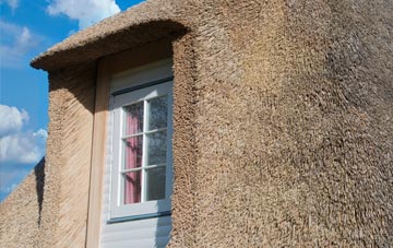 Windhouse thatch roof disadvantages